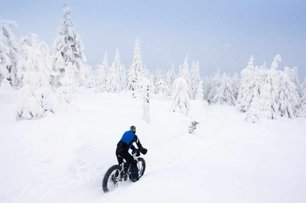 biker in winter, Orlicke Mountains, Czech Republic
